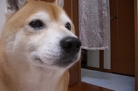 雨が降ると 2007/04/17 16:37:00