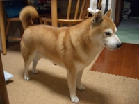 威力 2007/06/22 19:58:52