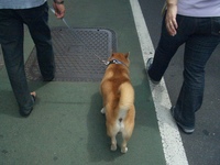 バカ殿 2007/06/29 20:32:27