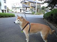 里帰り 2007/10/18 16:52:03