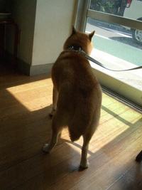耳が・・・ 2007/06/17 22:55:16