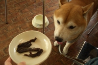 ずぶ濡れ 2007/07/29 14:17:04