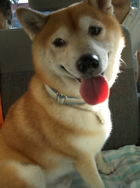 暑すぎるぅ 2007/08/09 22:43:35