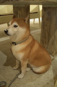ちょっと緊張 2007/07/25 18:26:13