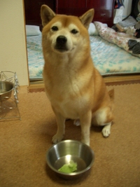 今日のおやつ 2007/08/10 17:12:22
