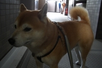 アピール？ 2007/04/15 20:07:44