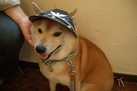 おいしいごはん 2007/04/30 16:09:55