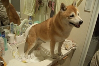 悪夢、再び・・・