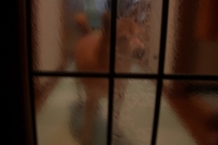 怒られた！