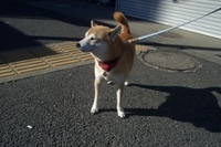 つかれた～・・・ 2007/01/09 19:52:00