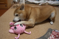 満足？
