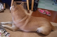 くさっ！！ 2007/01/19 16:48:00