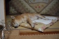 寒がりの暑がり 2007/01/23 21:07:33