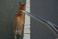 ごはんがな～い！ 2007/01/28 17:21:00