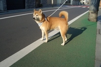 気に入った♪ 2007/01/24 21:17:00