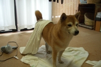 ごはんがな～い！