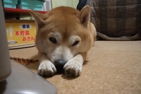 ケーキ