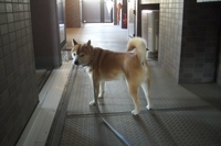 おさわり 2007/03/12 18:33:10
