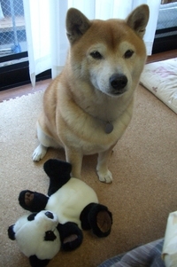 やつあたり