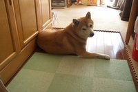 実家 2007/03/23 22:49:11