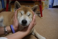 ダイエット 2007/03/26 18:43:00