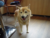 いってらっしゃい 2008/07/14 21:51:45