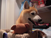 おかえりぃ 2008/07/18 22:59:19