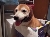 陥没 2008/07/30 20:23:35