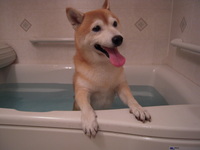 いい湯だな 2008/08/05 23:21:03