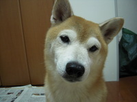 お見舞いがてら 2008/09/17 18:35:11