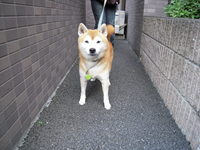 イライラッ 2008/11/18 17:44:43