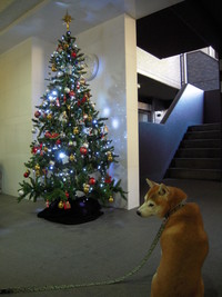ツリー 2008/12/06 21:00:00