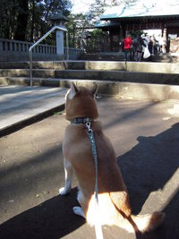 あけおめ。 2009/01/01 23:00:00