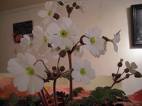 はみ出してるよ 2009/02/18 21:48:19