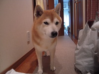 緊張しすぎて。 2009/03/08 22:27:06