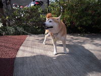 ひさしぶりぃ！ 2009/03/19 17:55:49