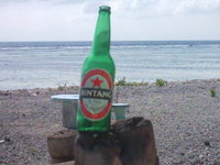 ビンタンビール　バリ旅行 2005/08/28 13:33:29