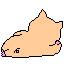 どうしよう