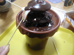 チョコフォンリュ