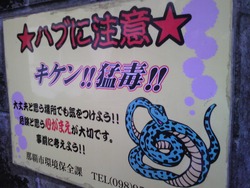 ★ハブに注意★