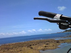 台風よ来るな！