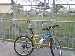 自画自賛