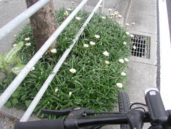 美味しそうぅ～