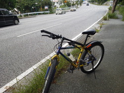 渡って来るからねぇ～