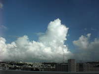 入道雲