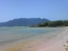 崎枝の海