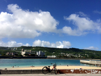 奥武島のてんぷらとバナナの樹☆2015夏の沖縄旅