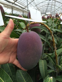 昨日の大雨(＞人＜;) 2014/06/25 10:03:38