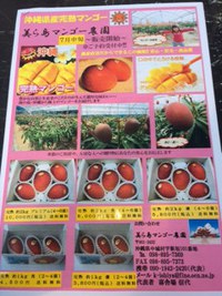 マンゴー予約始まりました(^_^) 2014/06/22 14:35:59