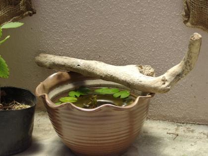 おっ、今年は
